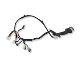 Front door wiring loom