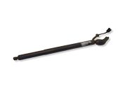 Tailgate/trunk strut/damper