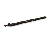 Tailgate/trunk strut/damper