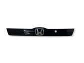 Trunk door license plate light bar