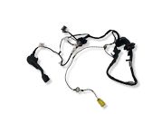Front door wiring loom