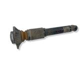 Rear shock absorber/damper
