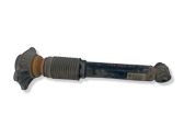 Rear shock absorber/damper