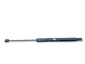 Tailgate/trunk strut/damper