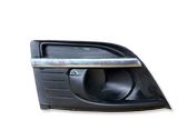 Front fog light trim/grill