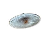 Front fender indicator light
