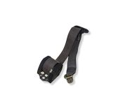 Rear seatbelt