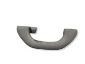 Front interior roof grab handle