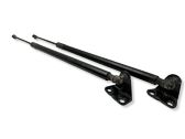 Tailgate/trunk strut/damper