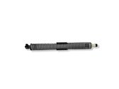 Tailgate/trunk strut/damper