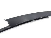 Rear door trim (molding)