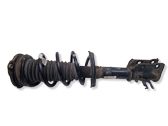 Front shock absorber with coil spring