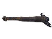 Rear shock absorber/damper