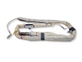 Roof airbag