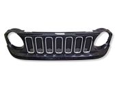 Front bumper upper radiator grill