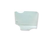 Rear door window glass
