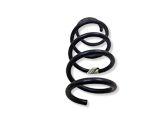 Front coil spring