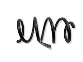 Front coil spring