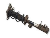 Rear shock absorber with coil spring