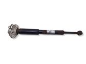 Rear shock absorber/damper
