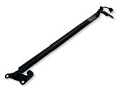 Tailgate/trunk strut/damper