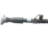 Rear shock absorber/damper