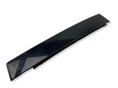 Rear door glass trim molding