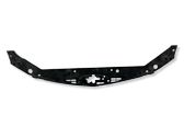 Engine bonnet/hood lock trim molding