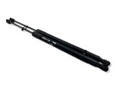 Tailgate/trunk strut/damper