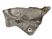 Heat shield in engine bay
