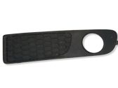Front fog light trim/grill