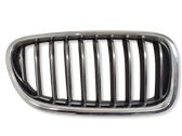 Front bumper upper radiator grill