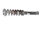 Rear shock absorber with coil spring