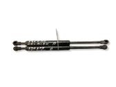 Tailgate/trunk strut/damper