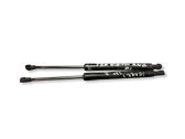 Tailgate/trunk strut/damper