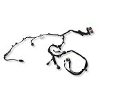 Front door wiring loom