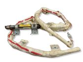 Roof airbag