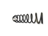 Front coil spring
