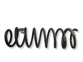 Front coil spring