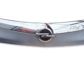 Trunk door license plate light bar