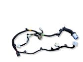 Front door wiring loom