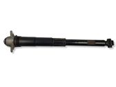 Stoßdämpfer hinten
