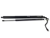 Tailgate/trunk strut/damper