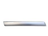 Rear fender molding trim