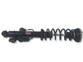 Rear shock absorber with coil spring