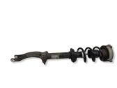 Front shock absorber with coil spring