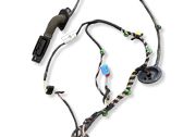 Front door wiring loom