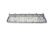 Front bumper lower grill