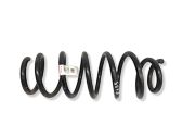 Front coil spring