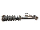 Rear shock absorber with coil spring